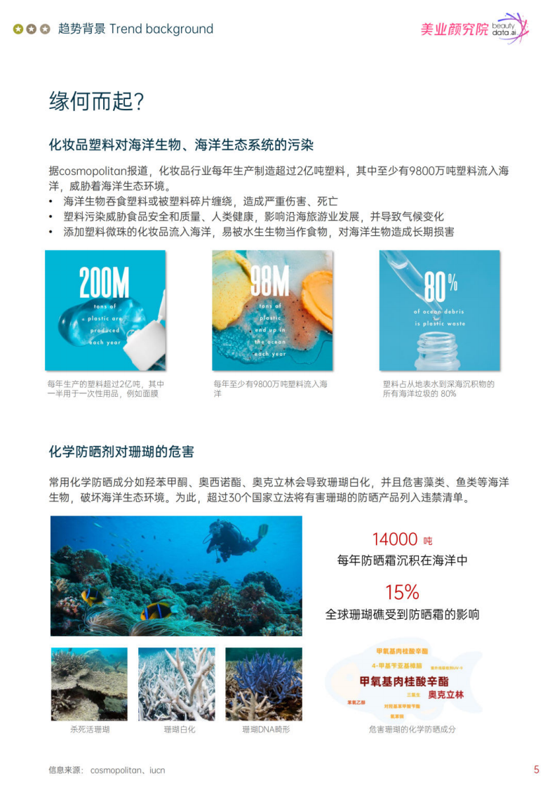 美业研究院：蓝色美妆：下一个可持续发展分支 第5页