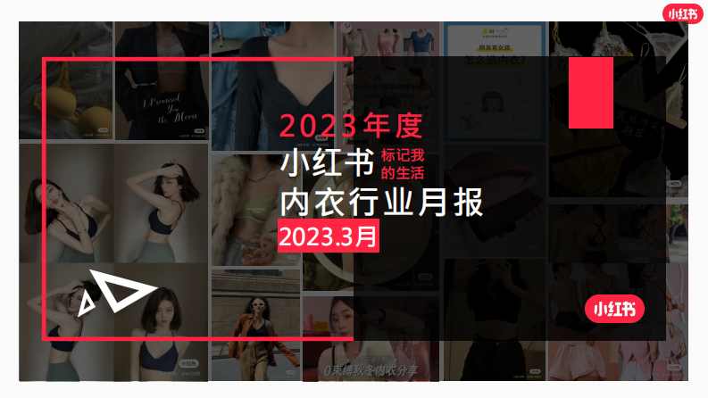 小紅書：2023年3月小紅書內(nèi)衣行業(yè)月報(bào)