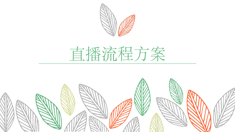 干貨《主播直播方案及流程》