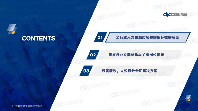 中智咨询：2023年人力资源市场调研趋势 第2页