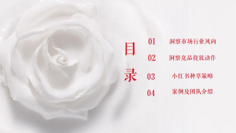 手膜产品小红书种草执行方案【美妆护肤】【护手产品】【种草带货】 第2页