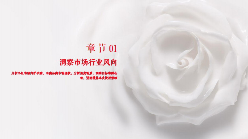 手膜产品小红书种草执行方案【美妆护肤】【护手产品】【种草带货】 第3页