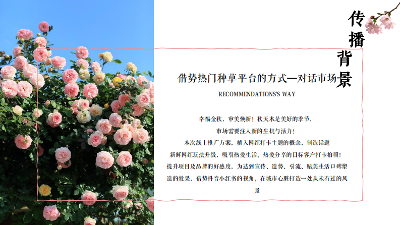 花卉门店小红书抖音线上传播方案【花店】【本地生活】【小红书 抖音】【种草营销】 第4页