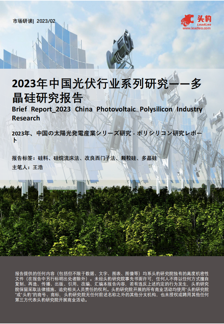 頭豹：2023年中國(guó)光伏行業(yè)系列研究-多晶硅研究報(bào)告