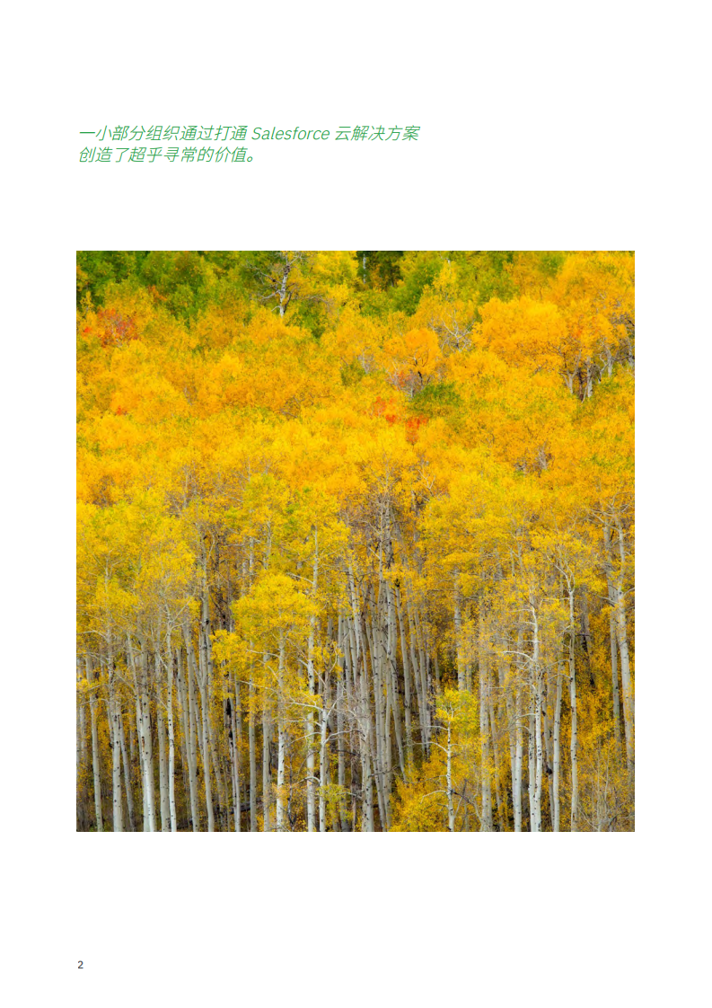 IBM+连木成林：打造+Salesforce+云，助力企业释放非凡价值 第4页