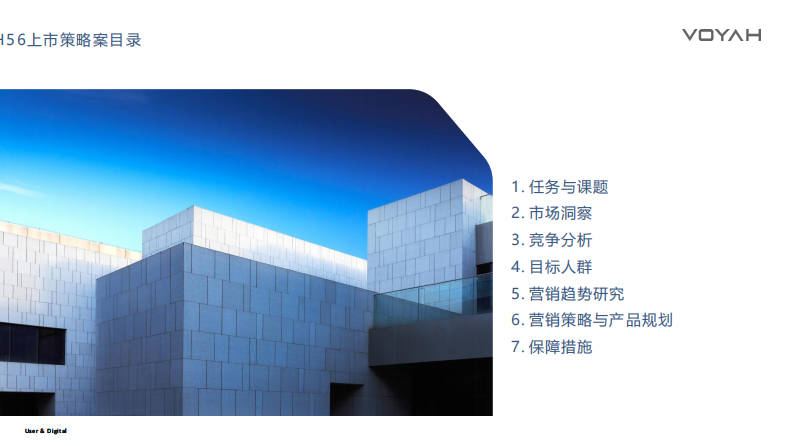 国产新能源汽车品牌新车型上市营销策略【汽车】【新车上市营销】 第2页