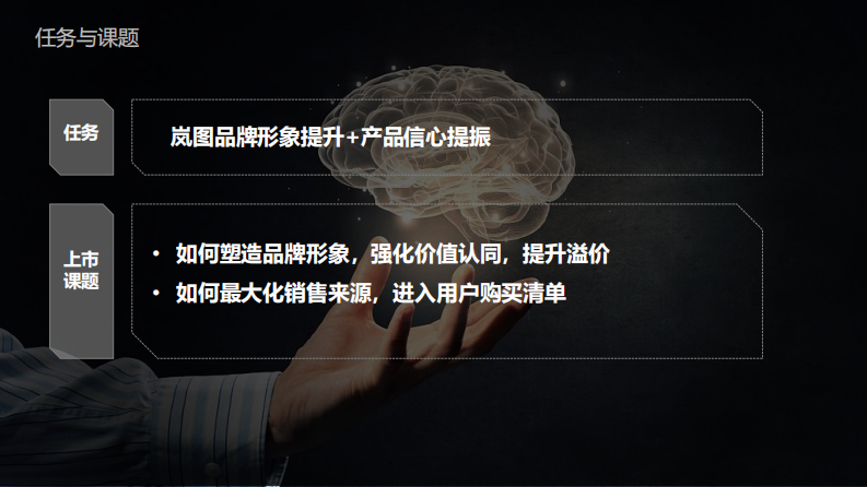 国产新能源汽车品牌新车型上市营销策略【汽车】【新车上市营销】 第4页