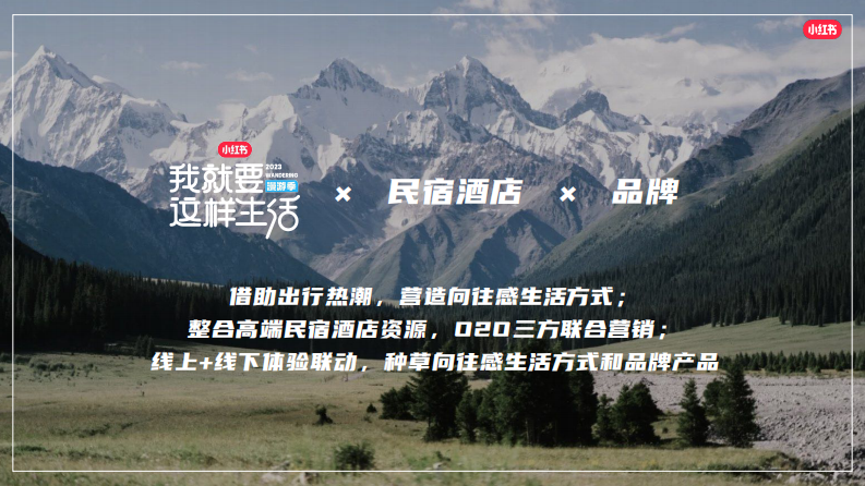 小红书&ldquo;我就要这样生活&rdquo;漫游季营销通案【互联网】【通案】 第5页