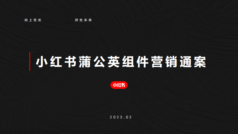 小紅書蒲公英組件營銷通案【互聯網】【通案】