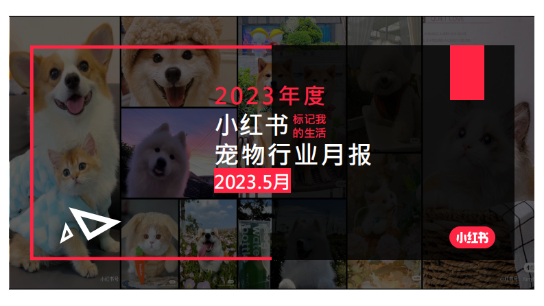 小紅書：2023年5月小紅書寵物行業(yè)月報(bào)