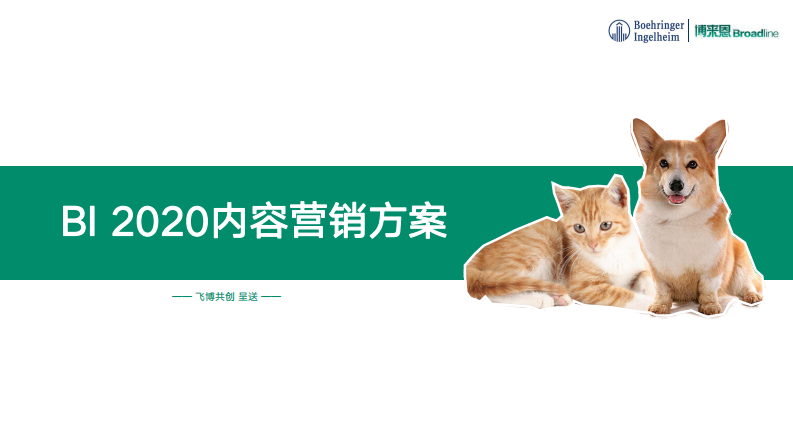 寵物醫(yī)藥品牌年度內(nèi)容營銷策劃案【寵物醫(yī)療】【寵物藥品】【種草帶貨】【線上傳播】