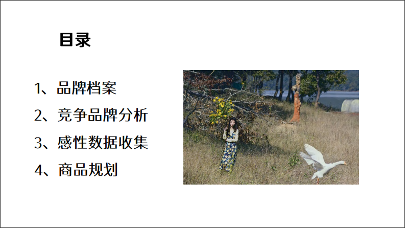 女装时尚品牌夏季商品企划【服装服饰】【种草营销】 第2页