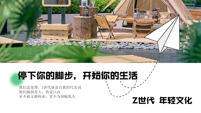 商业露营音乐节活动全流程方案【篝火晚会】【后备箱集市】【草地音乐会】 第5页