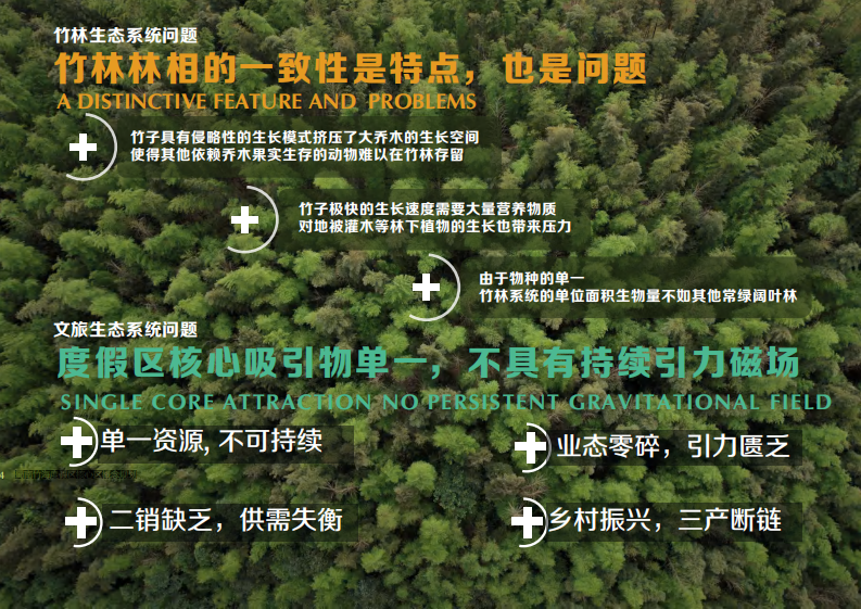 文旅景区竹生态&middot;竹文化国际旅游度假区核心区规划方案【旅游】【全案】 第4页