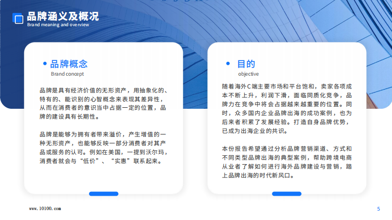 中国跨境电商品牌营销白皮书-大数跨境 第5页