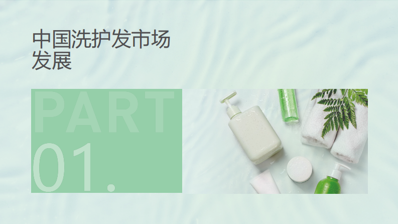 CBNDATA：2023国民头皮健康白皮书 第3页