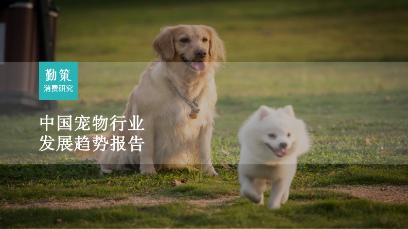 勤策消費(fèi)研究：2023中國寵物行業(yè)發(fā)展趨勢(shì)報(bào)告