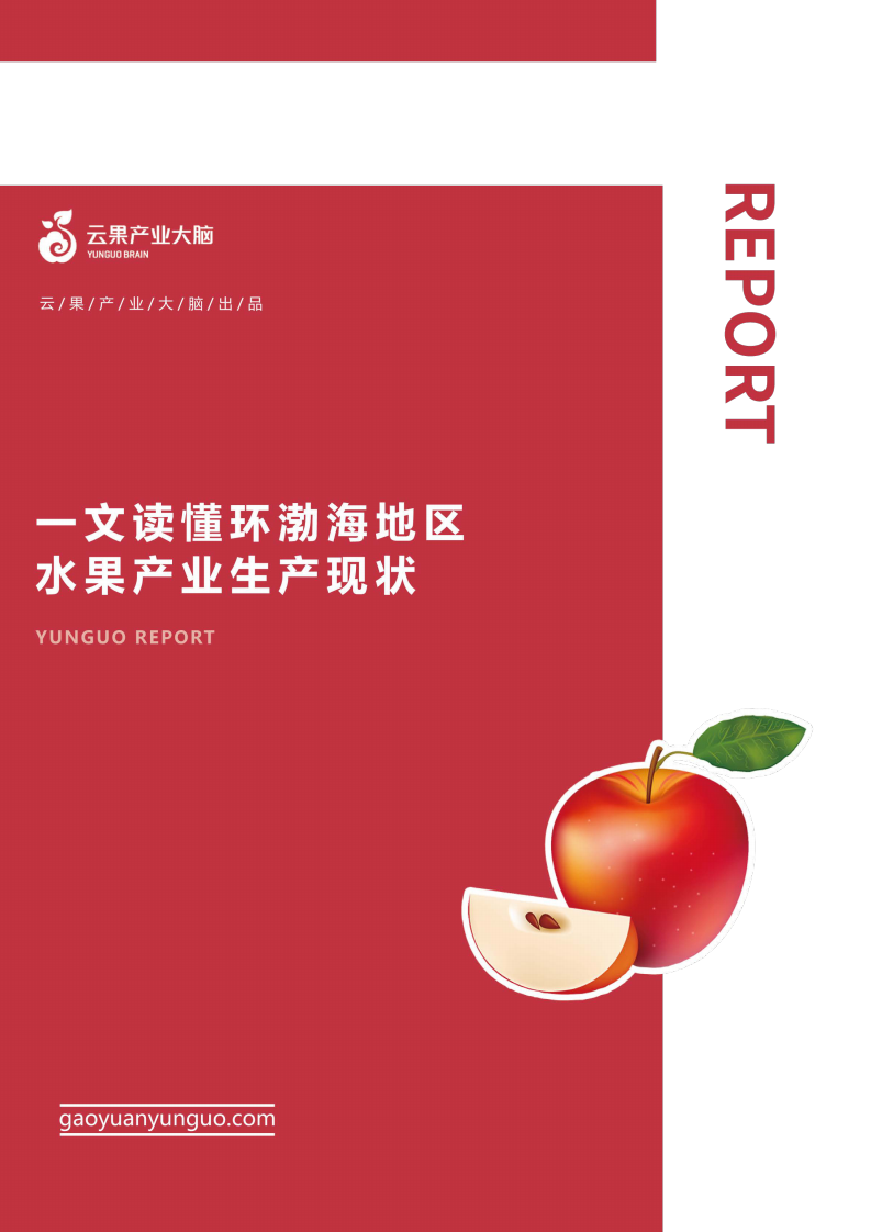 云果：一文读懂环渤海地区水果产业生产现状 第1页