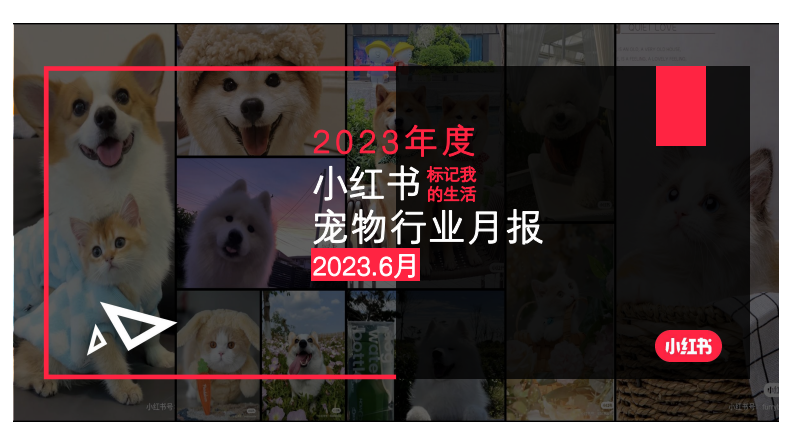 小紅書：小紅書2023年6月寵物行業(yè)月報(bào)