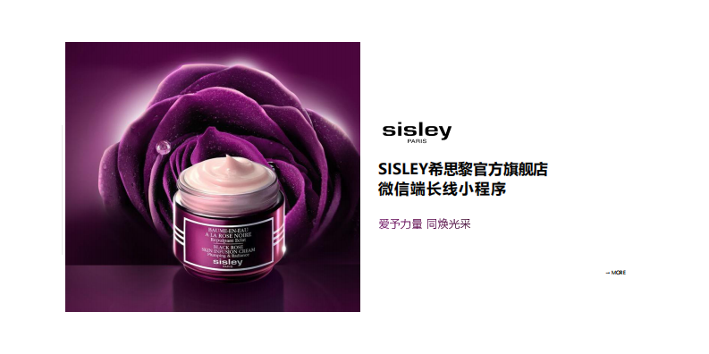 高端護膚品牌微信端長線小程序策劃案【美妝護膚】【小程序運營】