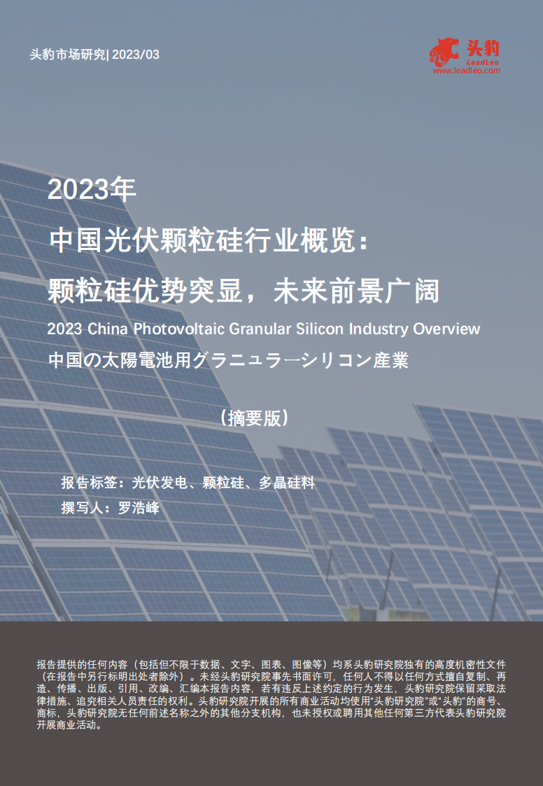 頭豹：2023年中國光伏顆粒硅行業概覽-顆粒硅優勢突顯-未來前景廣闊（摘要版）