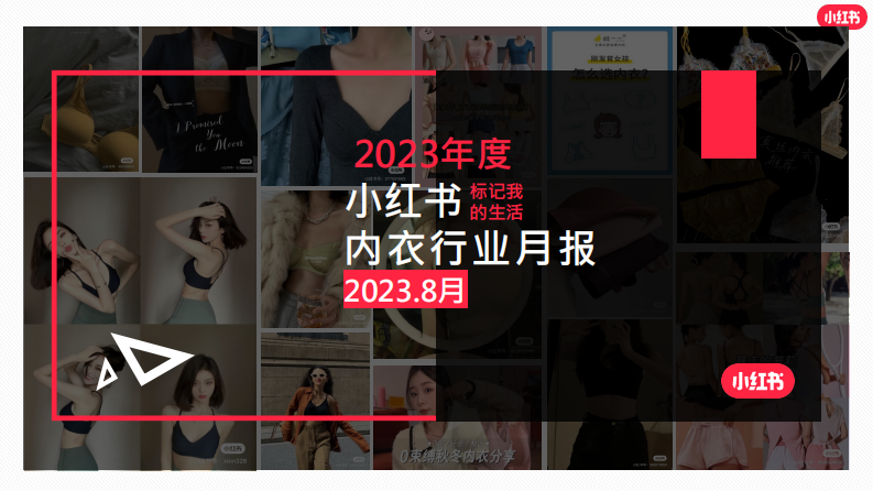 小紅書：小紅書2023年8月內衣行業月報