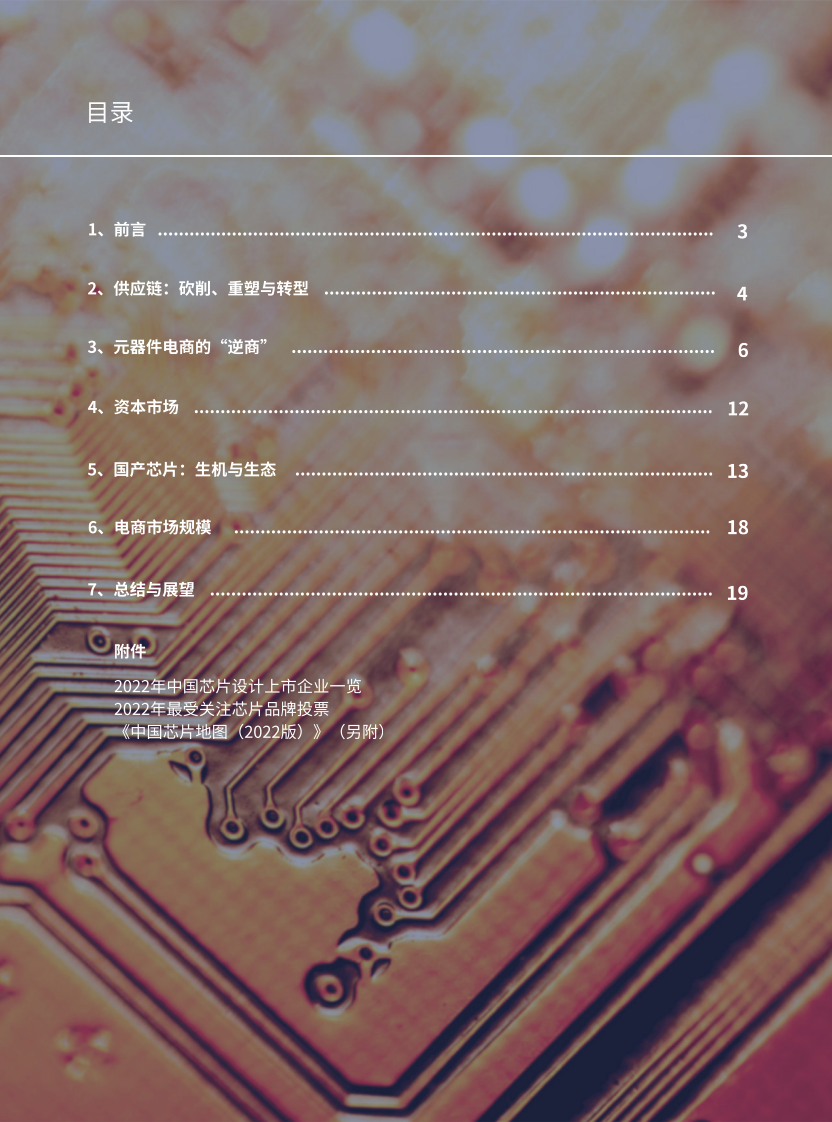 芯片大师研究所：2022中国元器件电商白皮书 第2页