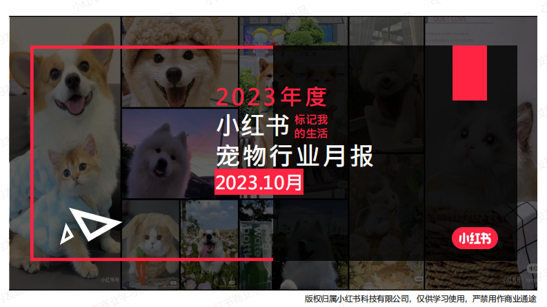 小紅書：小紅書2023年寵物行業(yè)月報-10月