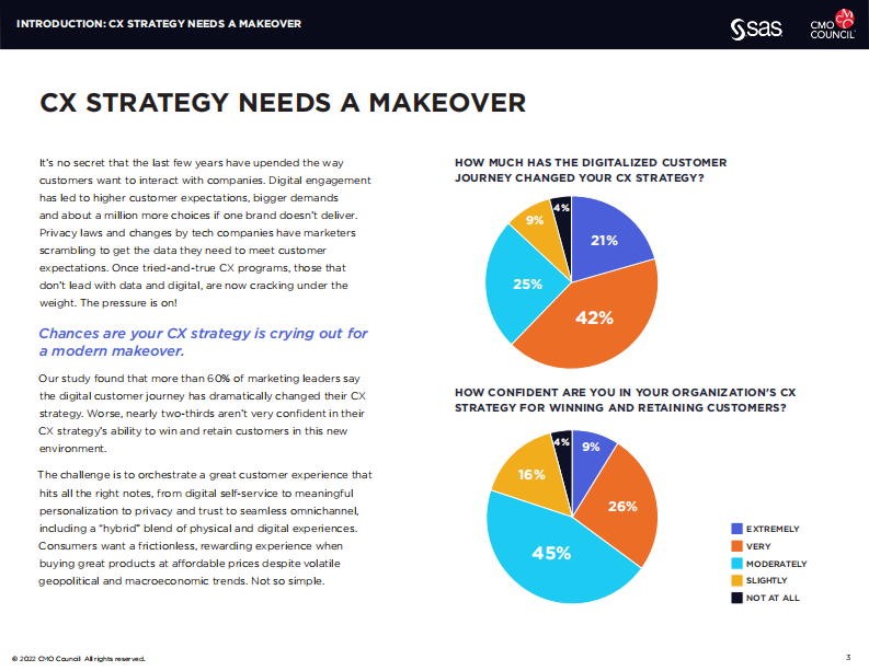 CMO Council：为非凡体验提供实时客户报告（英文） 第3页