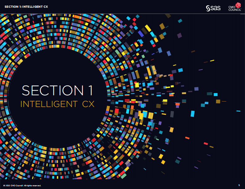 CMO Council：为非凡体验提供实时客户报告（英文） 第5页