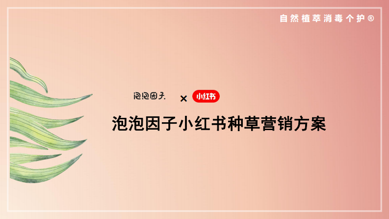 個人洗護用品品牌小紅書種草營銷方案【個護】【種草帶貨】