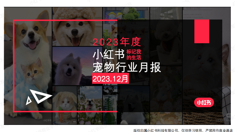 小紅書：小紅書2023年12月寵物行業月報