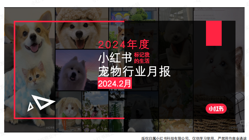 小紅書：小紅書2024年2月寵物行業月報