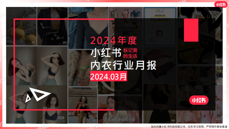 小紅書：2024年內衣行業月報（3月）