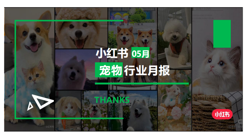 小紅書：小紅書寵物行業月報(2024年5月)
