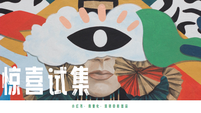 2024小紅書：驚喜試集互動IP招商方案【互聯網】【通案】