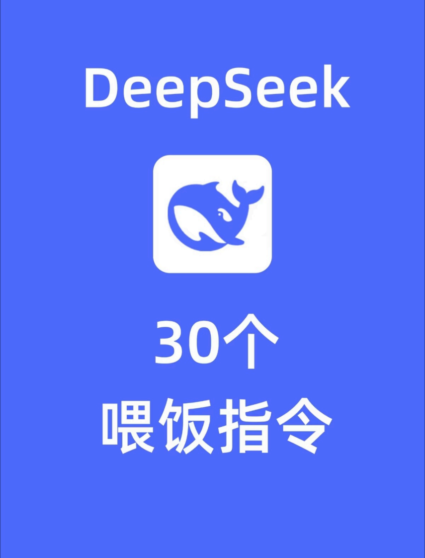 DeepSeek-30個喂飯指令