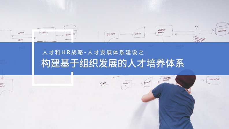 构建基于组织发展的人才培养体系 第1页