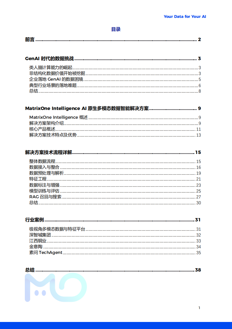 人工智能行业：AI原生多模态数据智能解决方案白皮书 第2页
