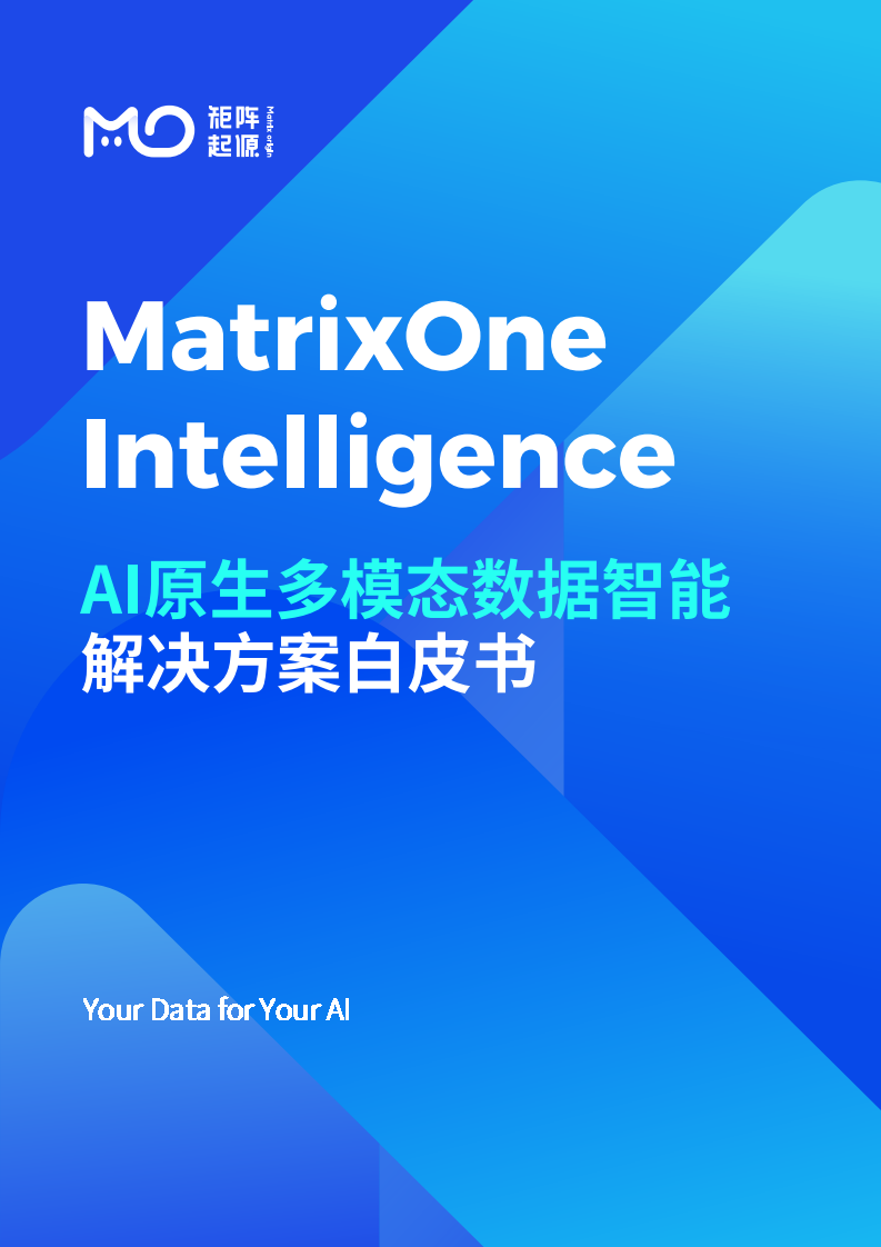 人工智能行业：AI原生多模态数据智能解决方案白皮书 第1页