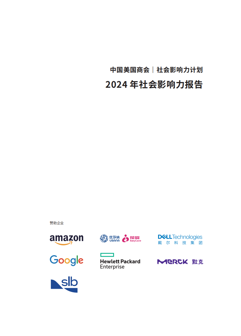 2024年社会影响力报告 第2页