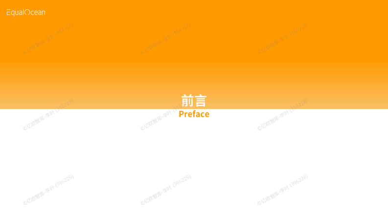 2024中国出海企业品牌战略报告 第3页