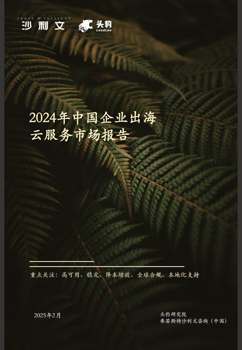 2024年中国企业出海云服务市场报告 第1页