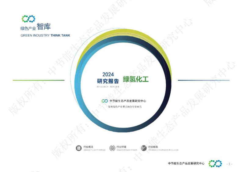 2024年绿氢化工研究报告 第1页