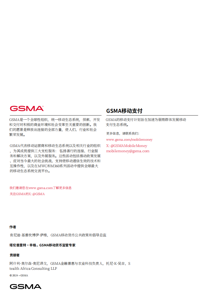 2024移动货币监管风险研究报告：复杂性及现实案例 第2页