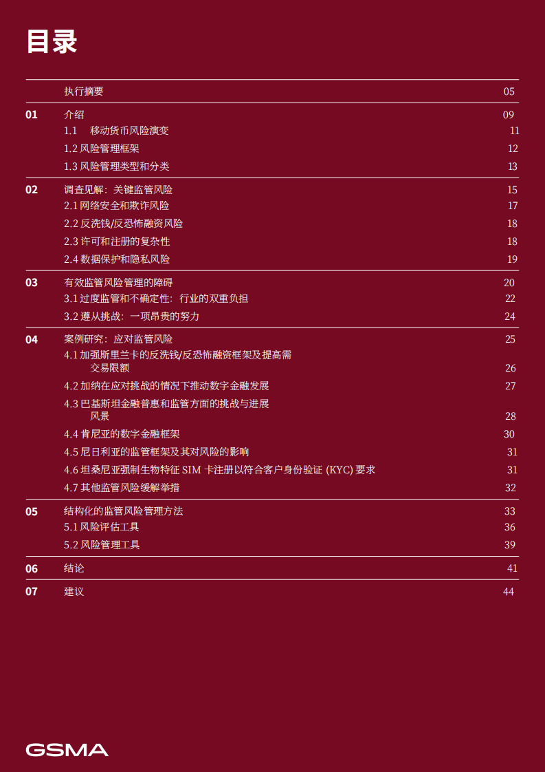 2024移动货币监管风险研究报告：复杂性及现实案例 第3页