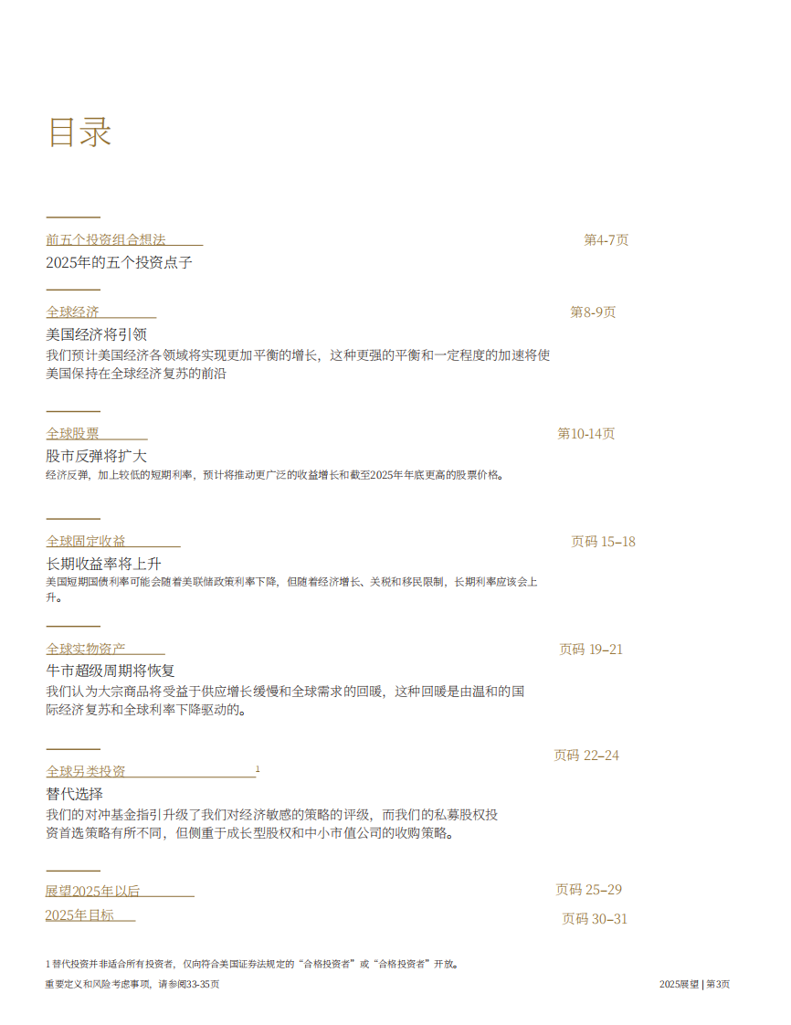 2025年经济展望报告：投资预测与新兴趋势 第3页