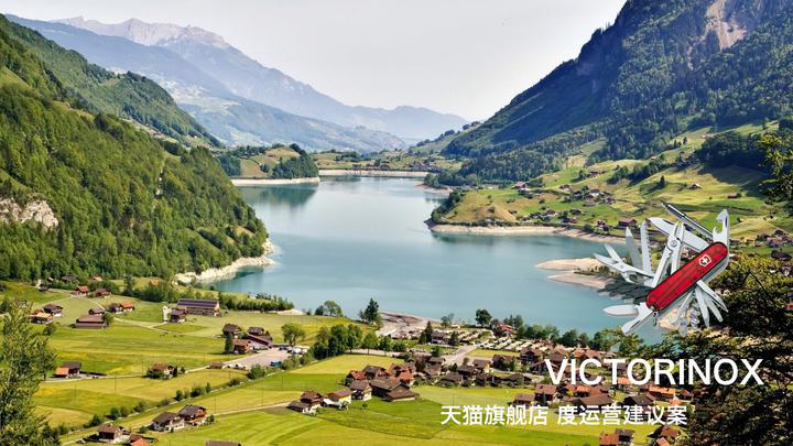 瑞士军刀品牌天猫旗舰店年度运营建议案【电商运营】【电商代运营】 第1页