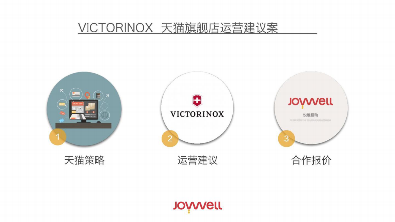 瑞士军刀品牌天猫旗舰店年度运营建议案【电商运营】【电商代运营】 第3页