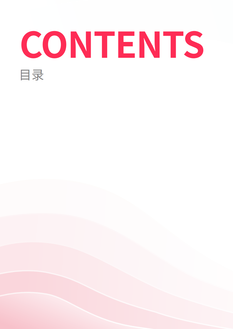 2025年美区跨境POP PEAKS出海经营方法论白皮书 第2页